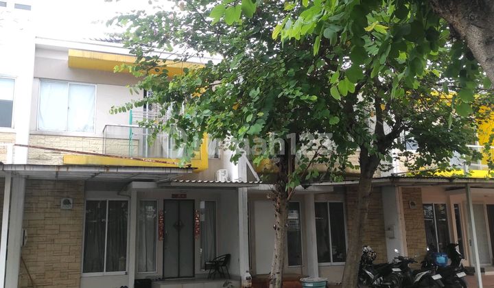 For Rent Cheap Australia Cluster House 6X15 Green Lake City 2