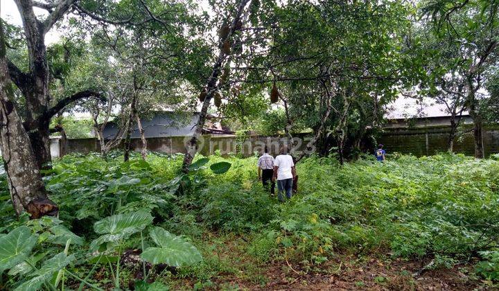 Dijual Tanah Luas Lokasi Gowa  2