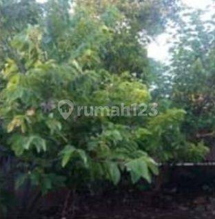 Rumah di Jalan Satria jaya Tambun utara SHM Bagus 7