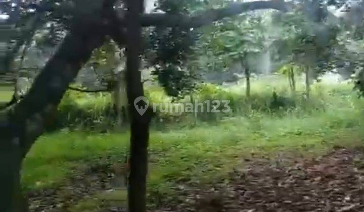 Tanah Kebun Rambutan di Kp cigebang, Cibening Setu Bekasi 2