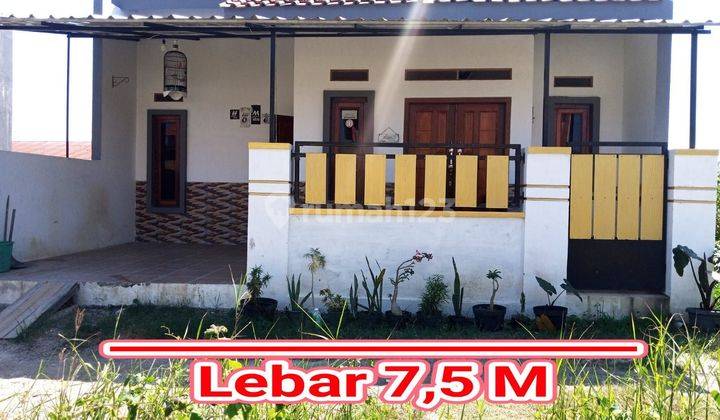 Rumah daerah Tegal 1 lantai sudah renov ngak banjir 1