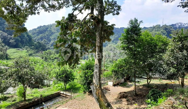 Land with a Great View in Pakintelan, Patemon, Gunungpati, Near UNNES Campus, Perfect for a Tourist Spot. 2