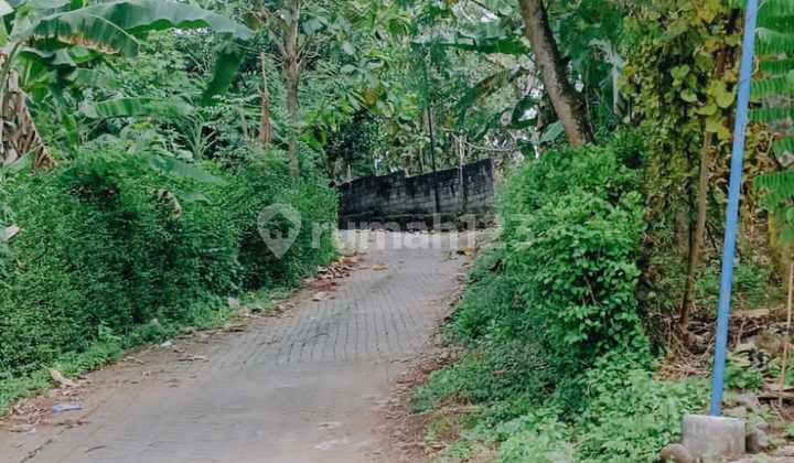 Tanah Siap Bangun Jalan Mangunharjo Sigarbencah Tdk Jauh Dri Undip Tembalang 2