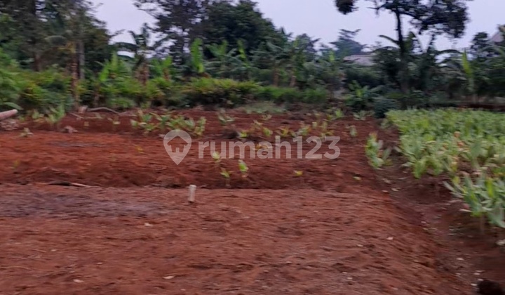 Tanah Strategis Siap Bangun Jalan Bulusan Selatan Dkt Kampus Undip ******** Z 1