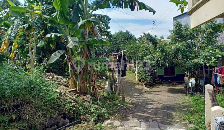 Tanah Bgs Siap Bangun Ring 1 Undip Jalan Tunjung Sari Tembalang Tanah Bgs Siap Bangun Ring 1 Undip Jalan Tunjung Sari Tembalang