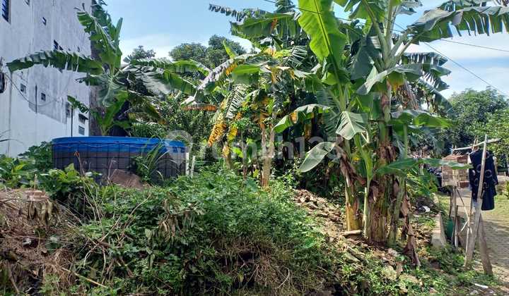 Tanah Bgs Siap Bangun Ring 1 Undip Jalan Tunjung Sari Tembalang 2