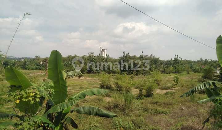 Land Ready to Build in Yellow Zone, Good for Housing in Meteseh Rowosari, Semarang City 2