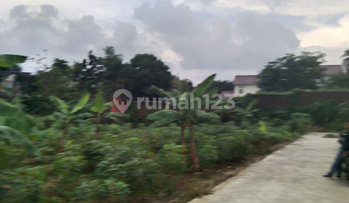 Tanah Bgs Siap Bangun Dkt Undip Tembalang
Jalan Bulusan Selatan
 1