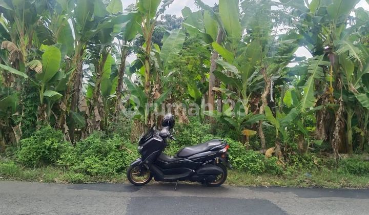 Good Land Ready to Build in Gedawang Banyumanik, Not Far from Undip Tembalang. 2