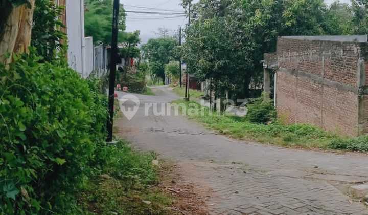Tanah Siap Bangun Jalan Mangunharjo Sigarbencah Tdk Jauh Dri Undip Tembalang 1