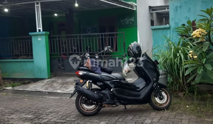 Rumah Siap Huni Klenteng Sari Dkt Kampus Undip Tembalang & Polines 1