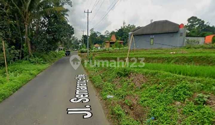 Land Near Undip Tembalang Burangrang Jangli Sambiroto, Semarang City