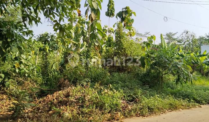 Tanah Bgs Siap Bangun Jalan Gerung Sari Bulusan Tembalang Dkt Kampus Undip 2