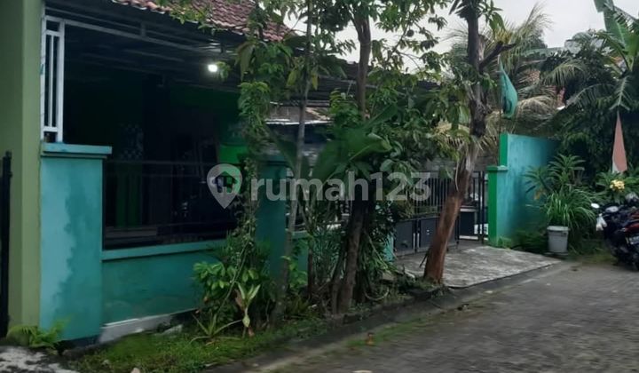 Rumah Siap Huni Klenteng Sari Dkt Kampus Undip Tembalang & Polines 2