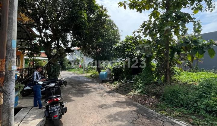 Tanah Strategis Siap Bangun Jalan Bulusan Utara Dkt Kampus Undip Tembalang 2