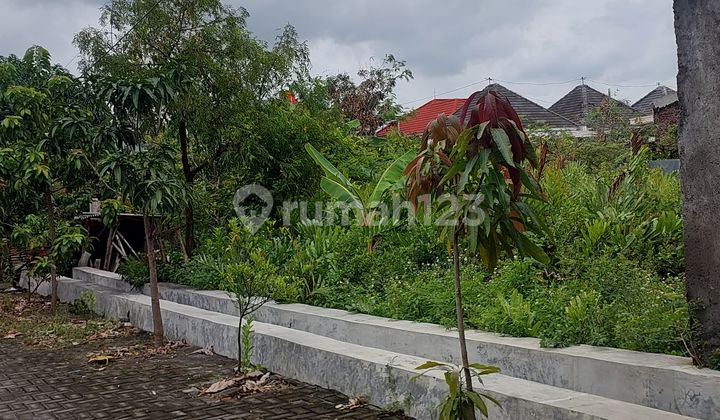 Tanah Siap Bangun Giri Mulyo Mukti Tlogomulyo Pedurungan Semarang Kota 1