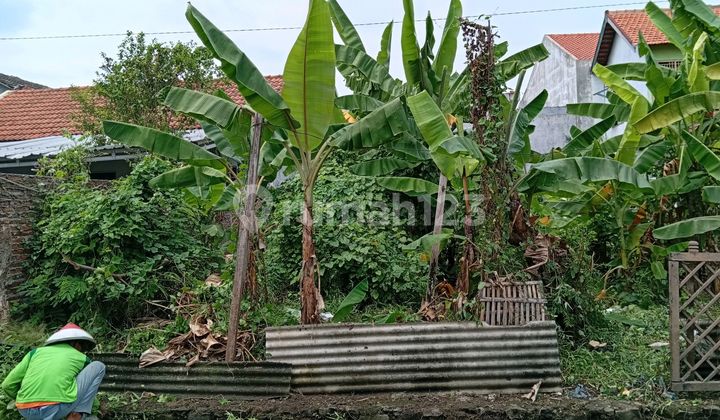 Tanah Bgs Siap Huni Jalan Panda Timur Palebon Pedurungan Kota Semarang 2