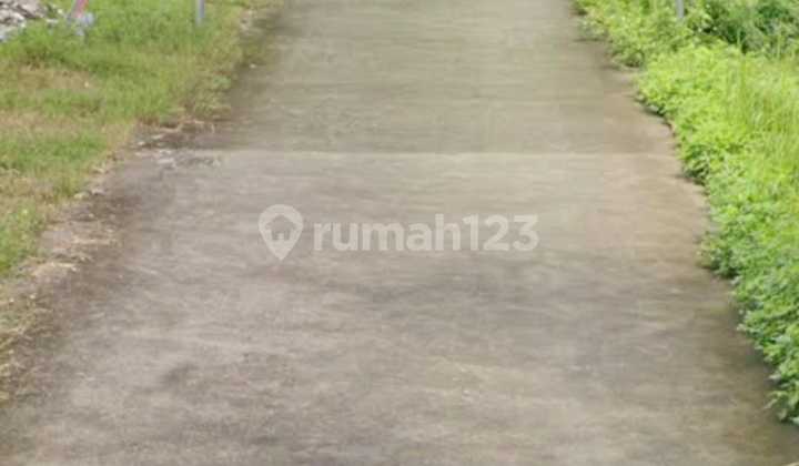 Land Near Undip Tembalang Burangrang Jangli Sambiroto, Semarang City 2