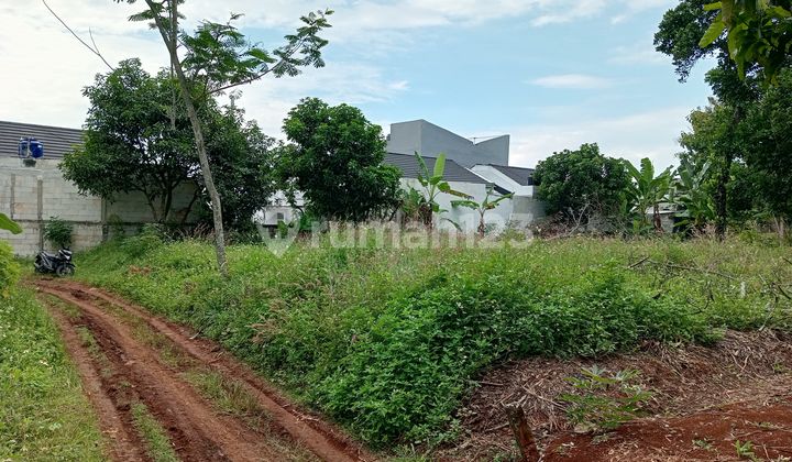 Tanah Strategis Siap Bangun Jalan Bulusan Selatan Dkt Kampus Undip ******** Z 2