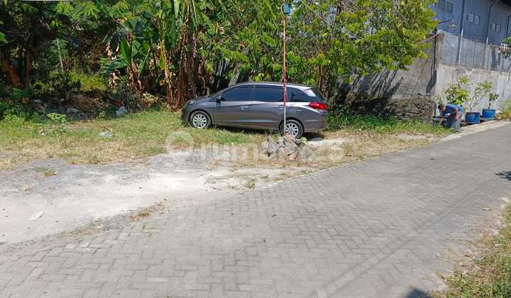 Tanah Bagus Siap Bangun Perumahan Kinijaya Gemah Kedungmundu Semarang Timur 1