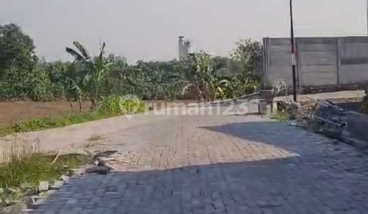 Tanah Siap Bangun Zona Kuning Bgs Utk Perumahan Meteseh Rowosari Kota Semarang Tanah Siap Bangun Zona Kuning Bgs Utk Perumahan Meteseh Rowosari Kota Semarang