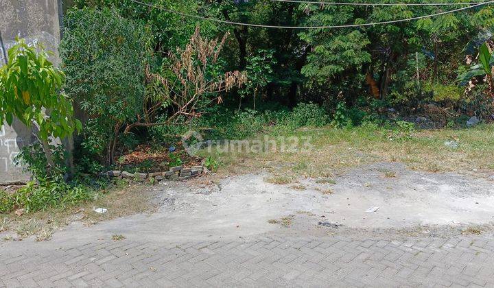 Tanah Bagus Siap Bangun Perumahan Kinijaya Gemah Kedungmundu Semarang Timur 2