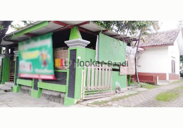 Rumah Lama Dijual Di Lampersari SemaranG 1