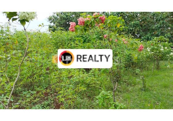 Kavling di Mangunharjo Durenan Tembalang Semarang 1