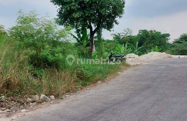 TANAH DI WANAHERANG GUNUNG PUTRI BOGOR    2