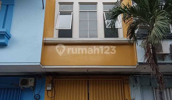 Ruko Mutiara Taman Palem 3 Lantai Full 