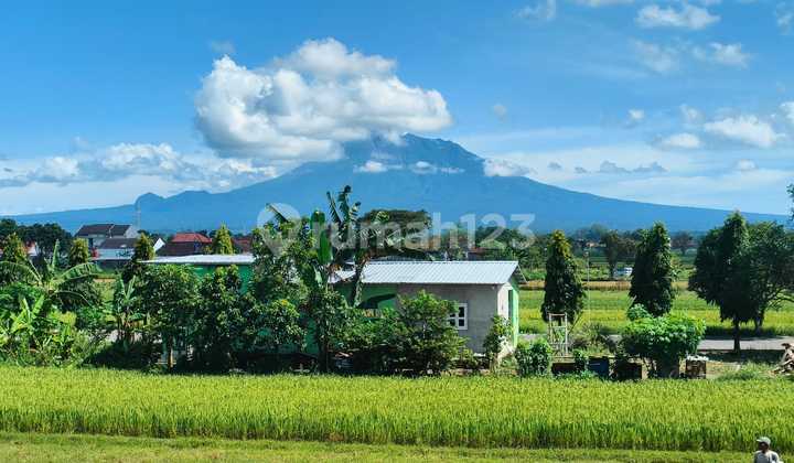 Rumah cantik 2 lantai dekat candi prambanan di klaten 20