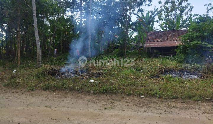 Kavling tanah murah dekat rsud prambanan sleman 9