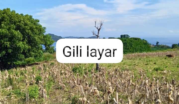 Tanah Dengan View Gili Lombok Barat