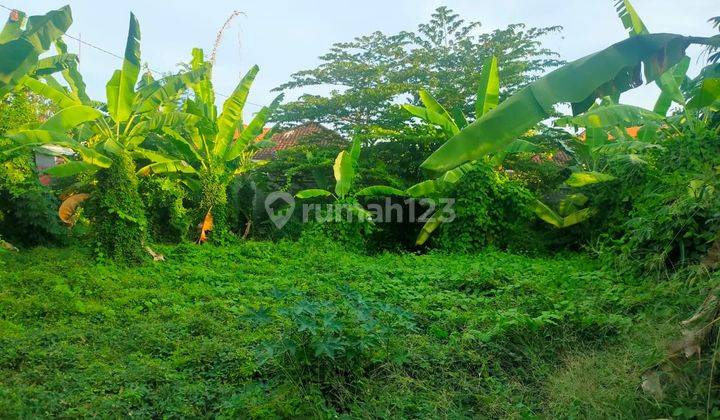 Tanah Hak Milik luas 381m2 Di Sanur, Denpasar 3