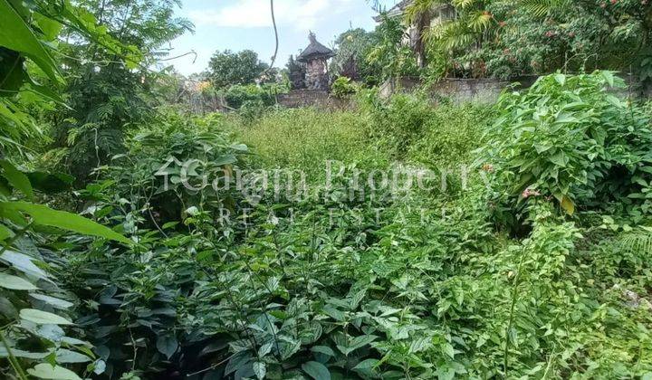 Tanah Akses Jalan Aspalt Padangsambian, Badung 3