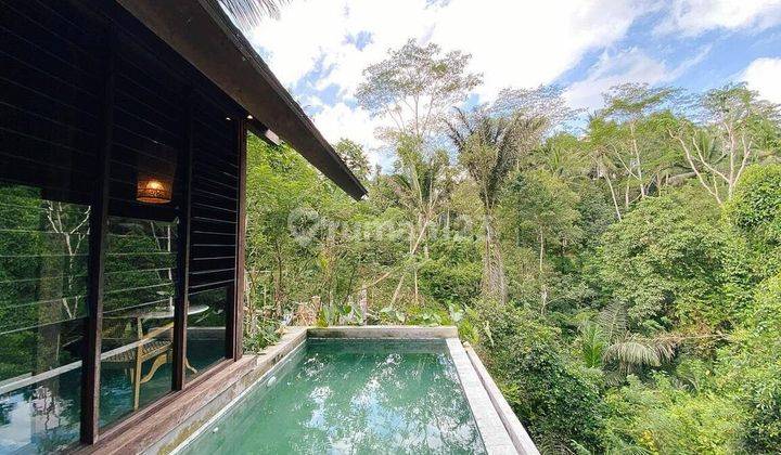 Hideaway One Bedroom Villa, Ubud  1