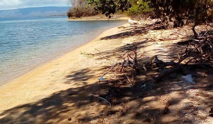 Beach Front Land At Sumbawa 2