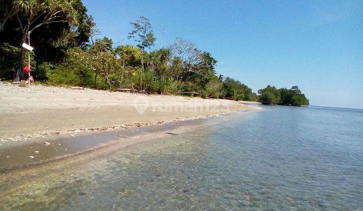 Beach Front Land At Sumbawa 4