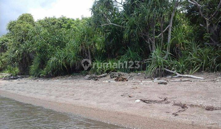 Beach Front Land At Sumbawa 5