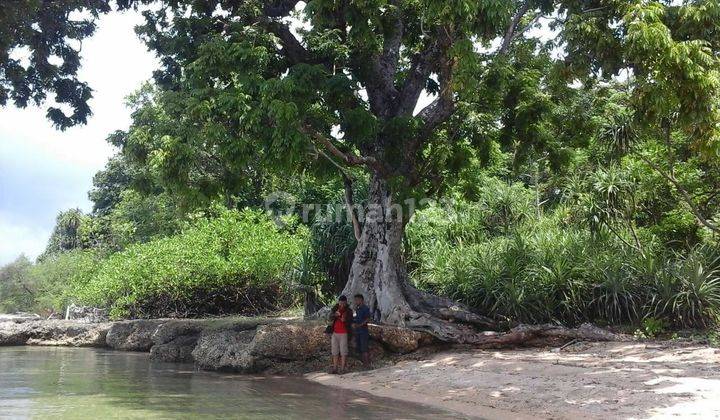 Beach Front Land At Sumbawa 6