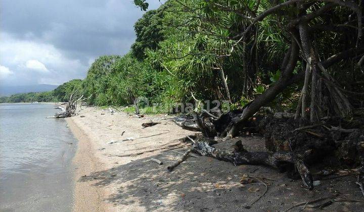 Beach Front Land At Sumbawa 7