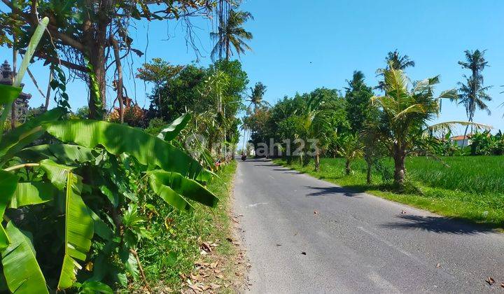 Land In Munggu Beach Street, Badung 2