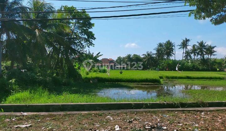 Tanah Jalan Utama Bypass Ib Mantra Lebih, Gianyar 2