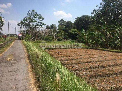 Tanah Cocok Untuk Perumahan, Denpasar Utara 2