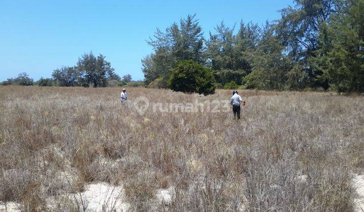 Tanah Sumba 300 Meter Dari Pantai Pasir Putih, Ntt 1