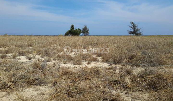 Tanah Sumba 300 Meter Dari Pantai Pasir Putih, Ntt 2