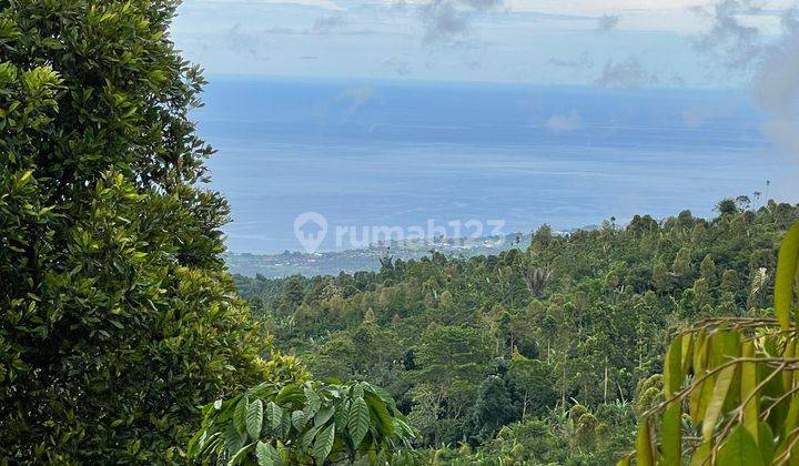 Land View Lovina Beach, Buleleng 1