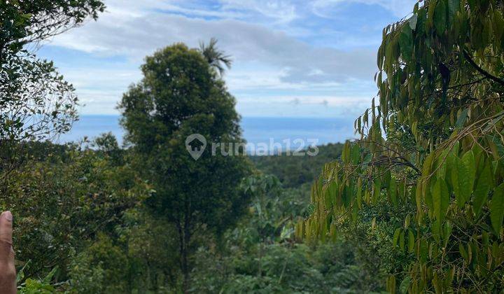 Land View Lovina Beach, Buleleng 2