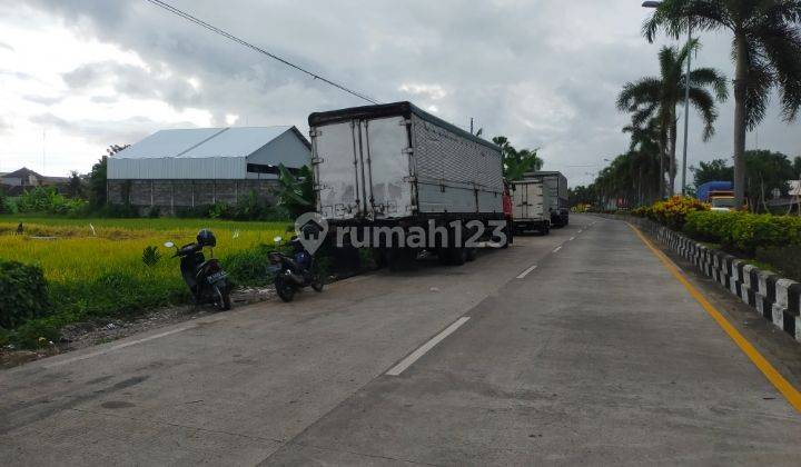 Tanah Cocok Untuk Gudang tempat Usaha di Mengwi, Badung 1