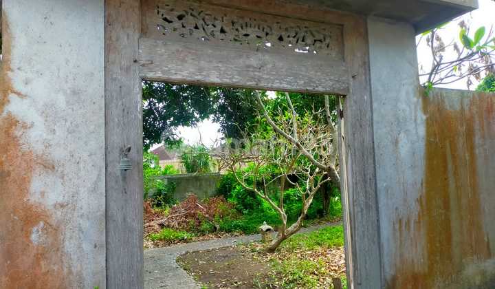 Tanah Menarik Canggu Badung Tanah Menarik Canggu Badung